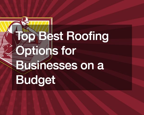 Top Best Roofing Options for Businesses on a Budget