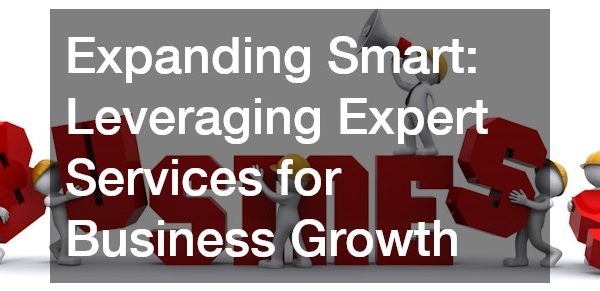 Expanding Smart Leveraging Expert Services for Business Growth