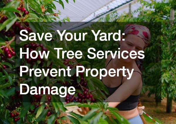 Save Your Yard How Tree Services Prevent Property Damage