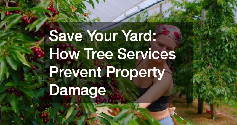 Save Your Yard How Tree Services Prevent Property Damage