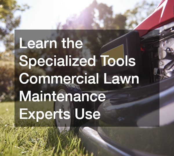 Learn the Specialized Tools Commercial Lawn Maintenance Experts Use